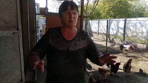 Птица на подворье