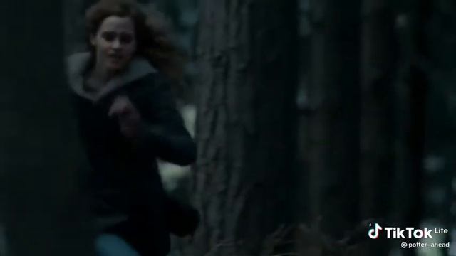 Гарри Поттер в тик ток смотреть онлайн