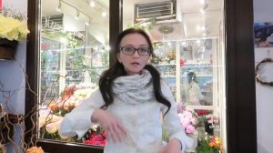 Холодильник для цветочного магазина: МОЙ печальный опыт