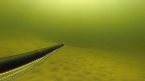 Подводная охота. Обучение, практика. Зимняя подводная охота Волгоград