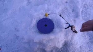 КАК ЛОВИТЬ ФОРЕЛЬ НА МАЛЬКА? ПОКАЗЫВАЮ НА ДЕЛЕ!