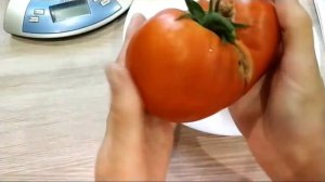 Томат сорта КУОР ДИ БУЕ -   просто бомба!