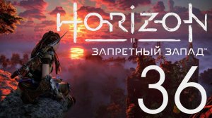 Horizon Запретный Запад. Серия 36 (Лагеря мятежников. Часть-2)