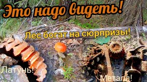 Я радовался этим находкам! Коп металлолома возле старых делянок