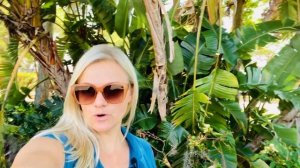 ЧТО НЕЛЬЗЯ ДЕЛАТЬ В АМЕРИКЕ И ЧТО ЗА ЭТО БУДЕТ/10 ЗАКОНОВ В США #BEEYANA #ЖИЗНЬВСША #ЖИЗНЬВАМЕРИКЕ