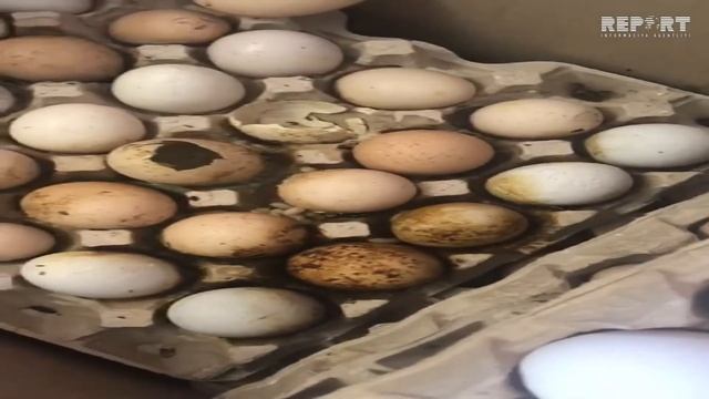 Задержан продавец просроченных яиц смотреть онлайн