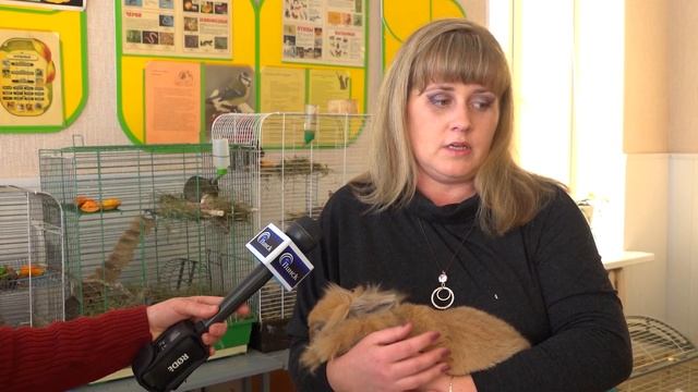 Год Кролика. Что он нам сулит? смотреть онлайн