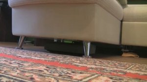 Робот пылесос Neato чистит под диваном (neato robot cleaning under the sofa)
