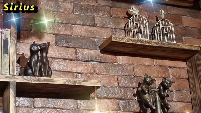 22 января Филиппов день: что категорически нельзя делать