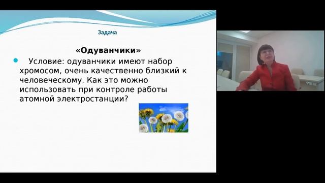 Организация проектной деятельности: основы проектирования