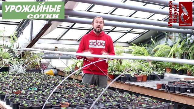 Не ВВЫСЬ, а ВШИРЬ! Бесплатный и простой способ заставить рассаду перестать тянуться вверх. смотреть онлайн