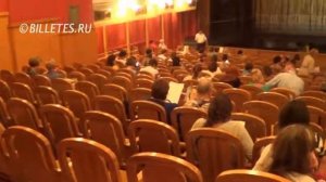 Театр Новая Опера, зрительный зал