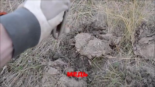 КАК ОКУПИТЬ МЕТАЛЛОИСКАТЕЛЬ ЗА ОДИН ДЕНЬ