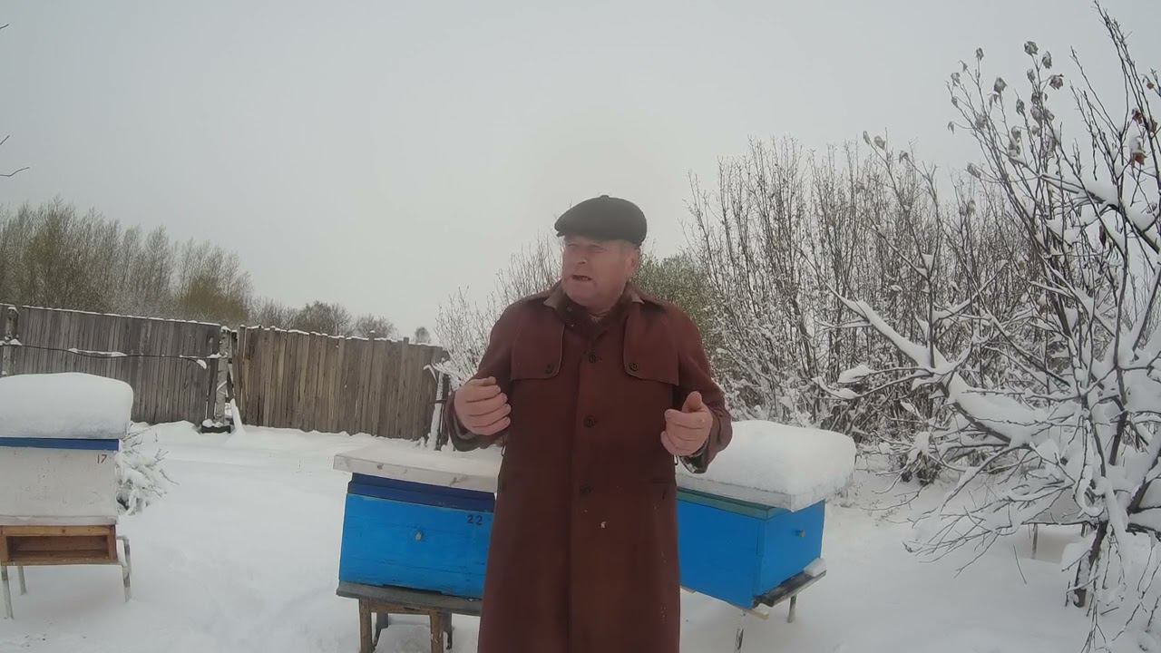 Снег не помеха. смотреть онлайн