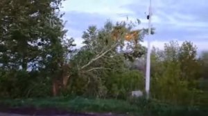 Дерево упало на ВЛ 10 кВ и горит!