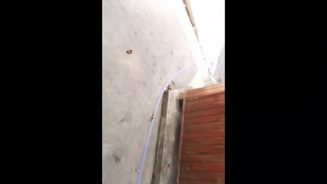 Сколько можно зароботать здавая алюминиевые банки? смотреть онлайн