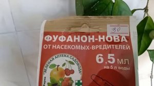 Одна обработка и мучнистый червец, побеждён.
