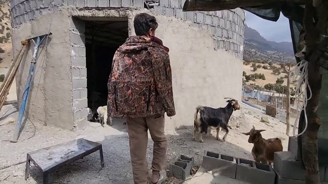 Bringing dirt for the yard and helping the brother: Nomadic life смотреть онлайн