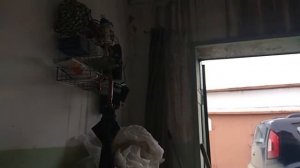 Ветерок 8 после покрытия поршней твердой смазкой