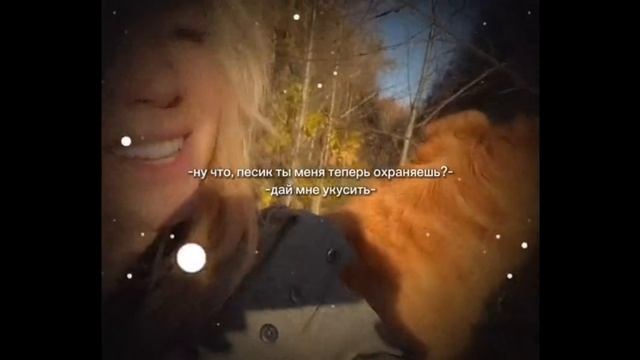 ну что, песиль ты меня теперь охраняешь смотреть онлайн