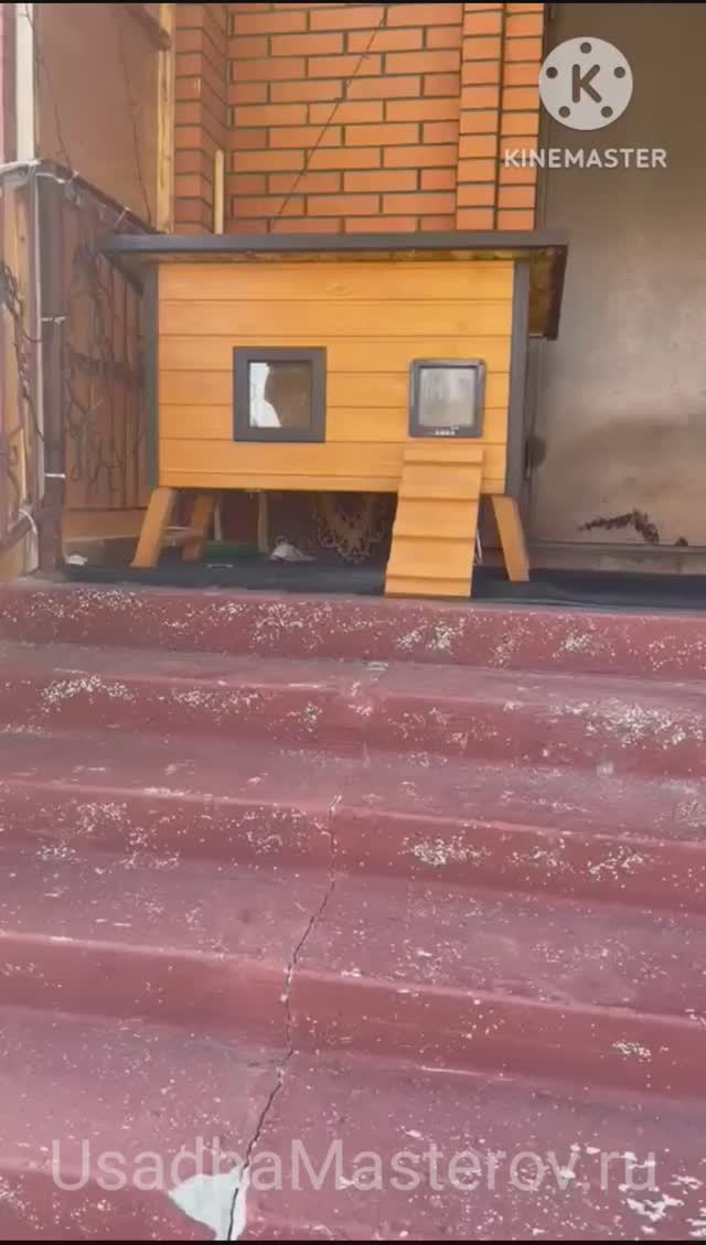 теплая будка для котов купить зимнюю будку с подогревом для котов смотреть онлайн