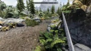 Skyrim