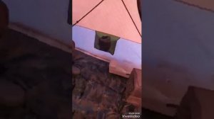 Зимняя полатка МiMiR 2017 Кемпинг ?️ 2.40 на 2.40 небольшой обзор!