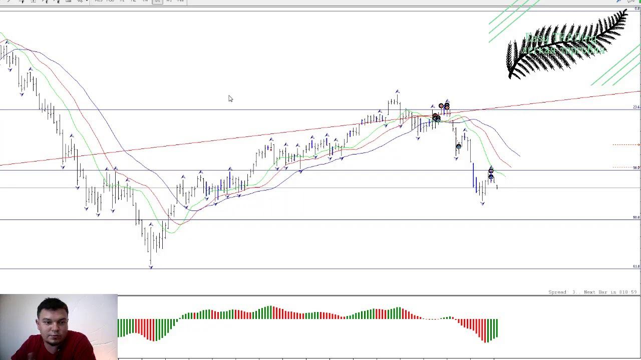 Прямая трансляция пользователя Easy TRADing смотреть онлайн