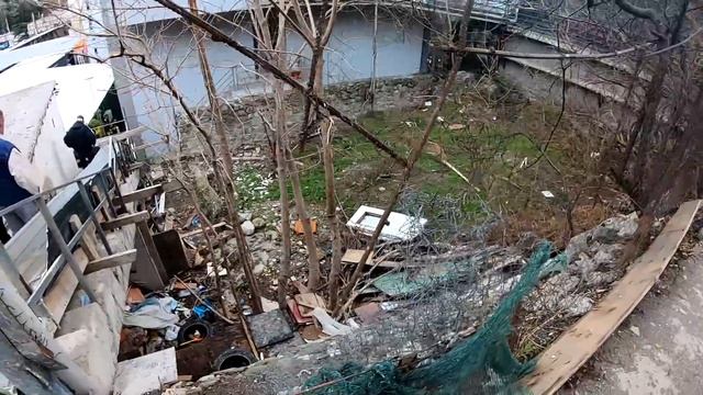 Дерево РУХНУЛО на ЖИЛОЙ ДОМ во время УРАГАНА в Ялте. Гималайский КЕДР упал на ДОМ смотреть онлайн