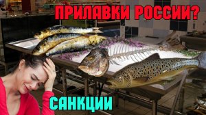 Немцам показывают пустые полки и ржавую селёдку в ?? российских магазинах. Показываю всю правду?