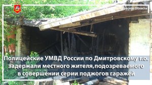 Полицейские в Дмитрове задержали местного жителя, подозреваемого в совершении серии поджогов гаражей