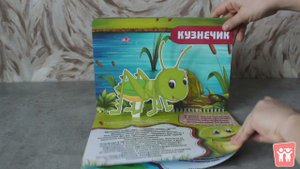 3D Альбом "Насекомые"