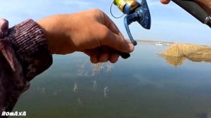 Ловля крупного окуня в ноябре. Окунь на Джиг-Риг. РАЗВЕДКА.