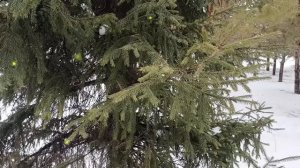 Родственники мужа нагло ведут себя в ее квартире – оскорбляют и унижают невестку