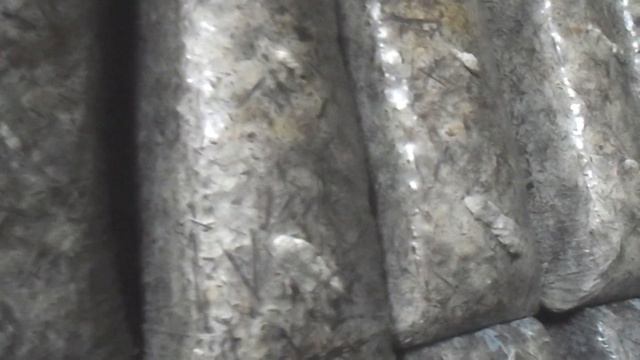 Этапы выращивания вешенки смотреть онлайн