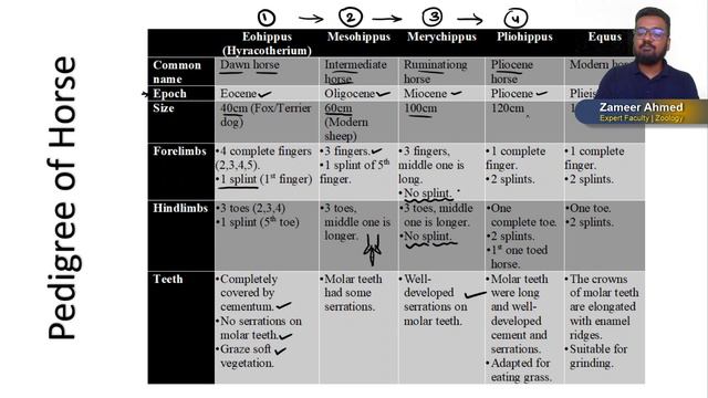 Live Class: Zoology (E) | Theories & Evidences | Evidences of Evolution-1 смотреть онлайн