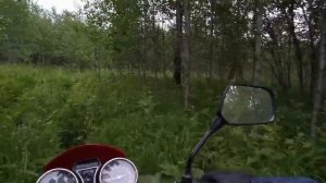 В лес до упора на мотоцикле ЗиД 125