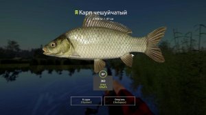 Карп чешуйчатый 2,9 кг | Русская Рыбалка 4