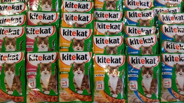 Корм для кошек по низкой цене
