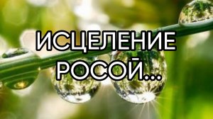 ИСЦЕЛЕНИЕ  РОСОЙ....ДЛЯ ВСЕХ...