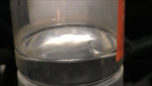 Работа мотора хонда аккорд К20Z2