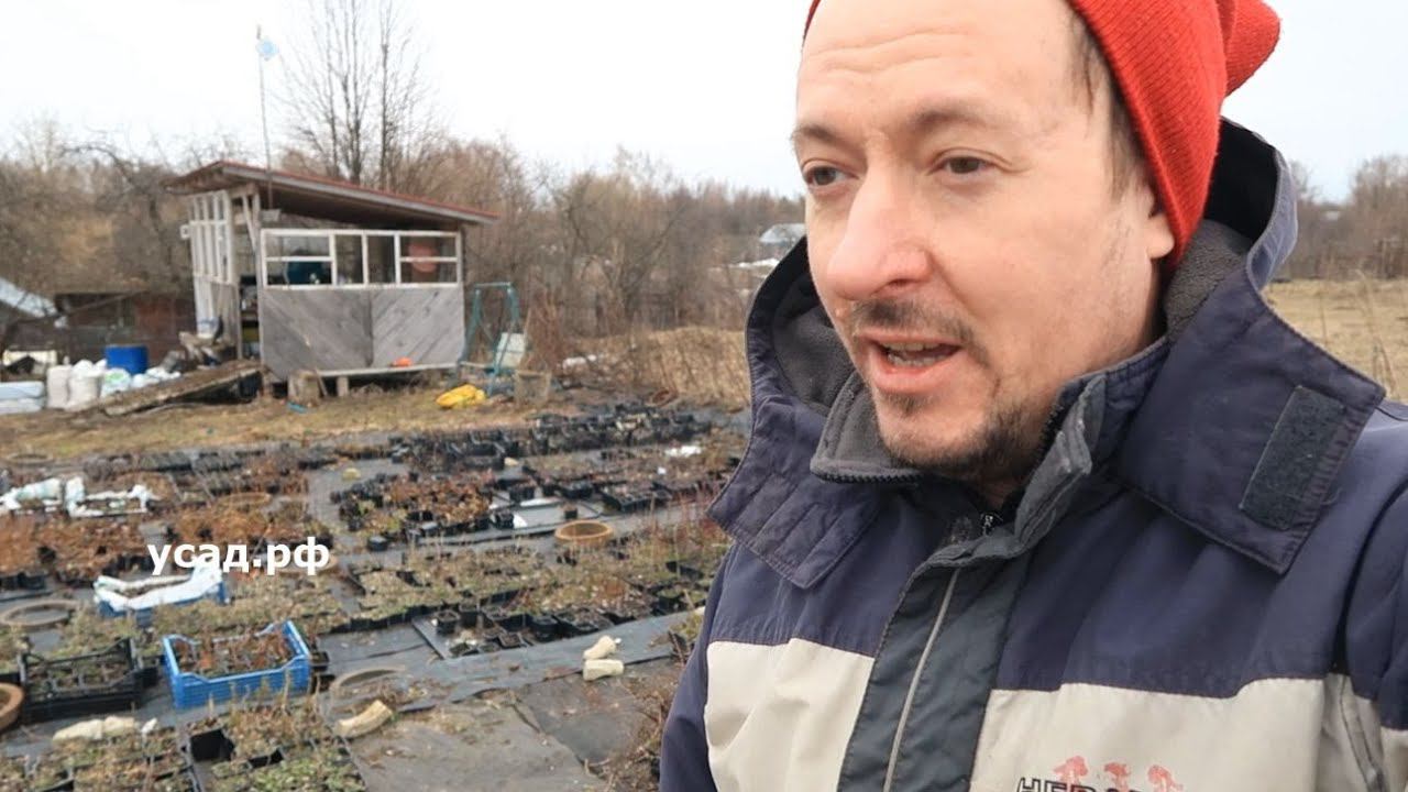 МЫ НА НИЗКОМ СТАРТЕ смотреть онлайн