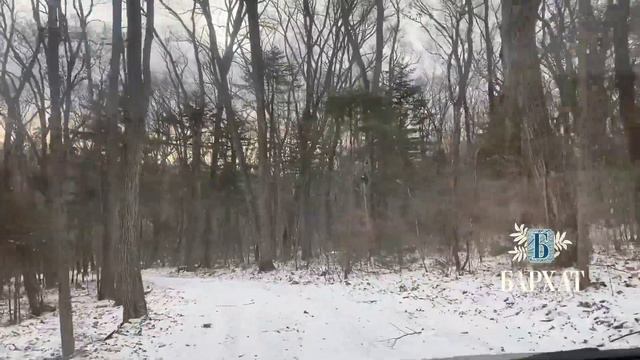 Проезд в ЖК Бархат смотреть онлайн