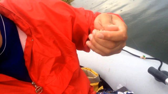 Черноярка. Рыбалка на мормышку летом ч.1 смотреть онлайн