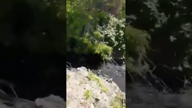 Черная река впадает в Волгу смотреть онлайн