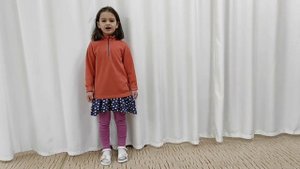 "Стрекоза и муравей"