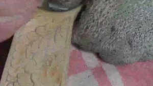 черпак резьба татьянка