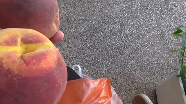 ЧТО ГДЕ и ПОЧЕМУ? Отвечаю. Израиль.