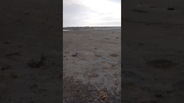 На берегу Каспийского моря! Пробую воду на вкус. смотреть онлайн