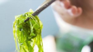 Биология 5 класс (Пасечник) аудио Параграф 15 «Роль водорослей в природе и жизни человека»